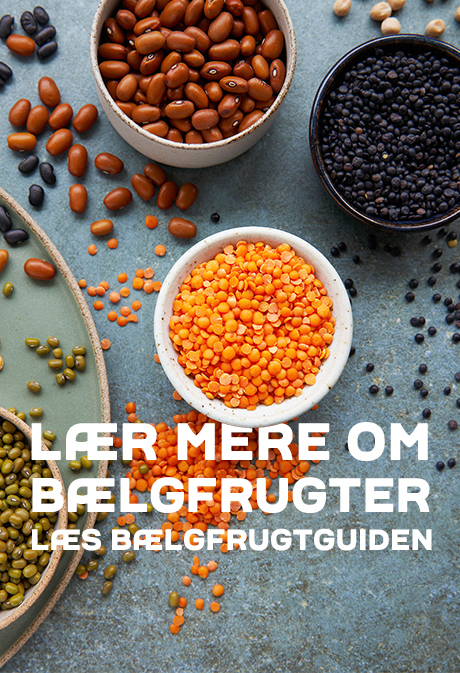 Bælgfrugtguide - Campaign - Always on