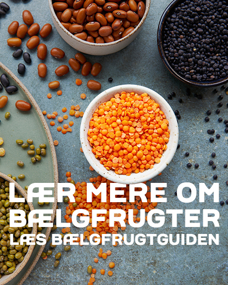 Lær mere om bælgfrugter her