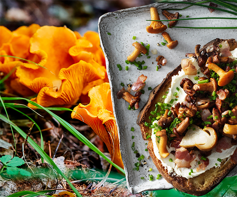 Förvälla kantareller – så gör du