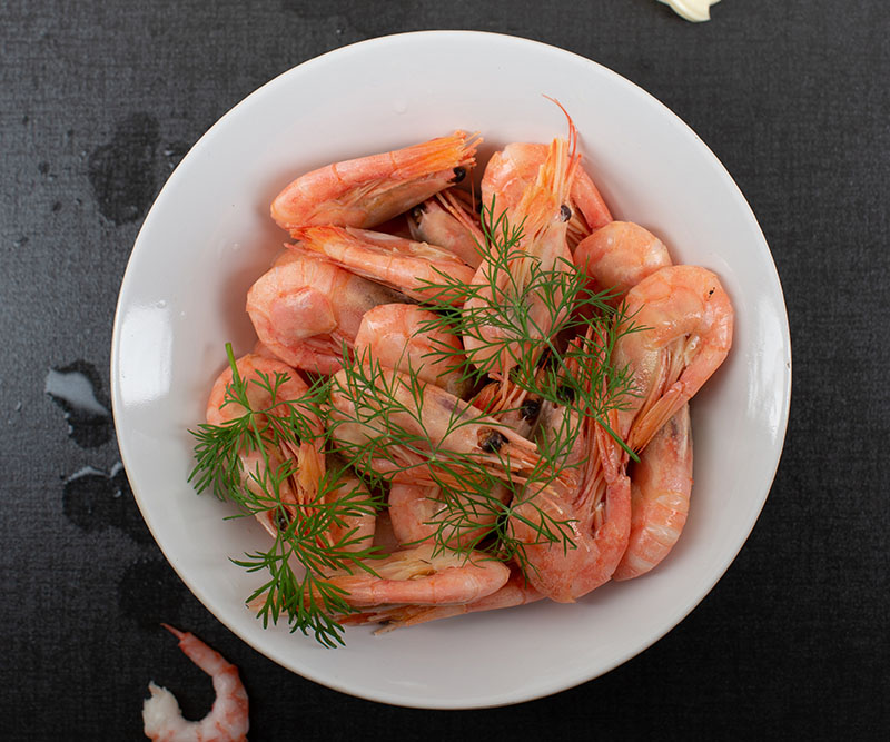 Stor räkguide med tips och 13 populära recept!